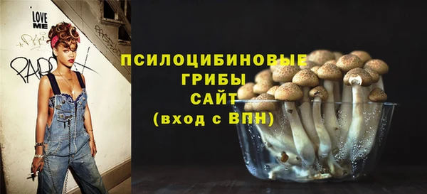 эйфоретик Алексин