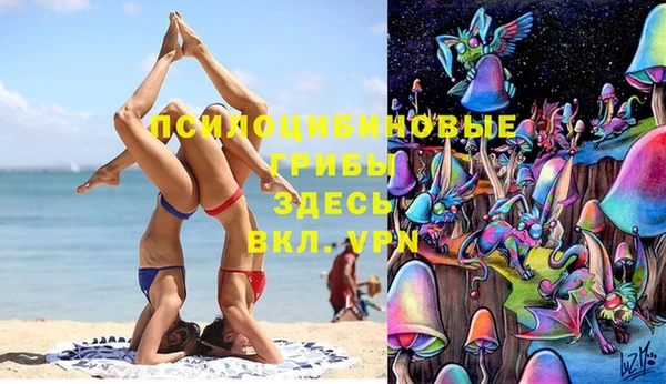 эйфоретик Алексин