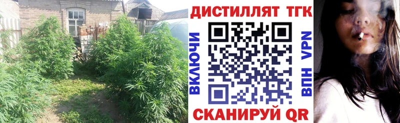 ТГК вейп с тгк  Александровское 