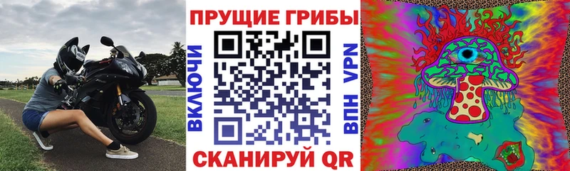 закладки  Александровское  OMG ТОР  Галлюциногенные грибы GOLDEN TEACHER 